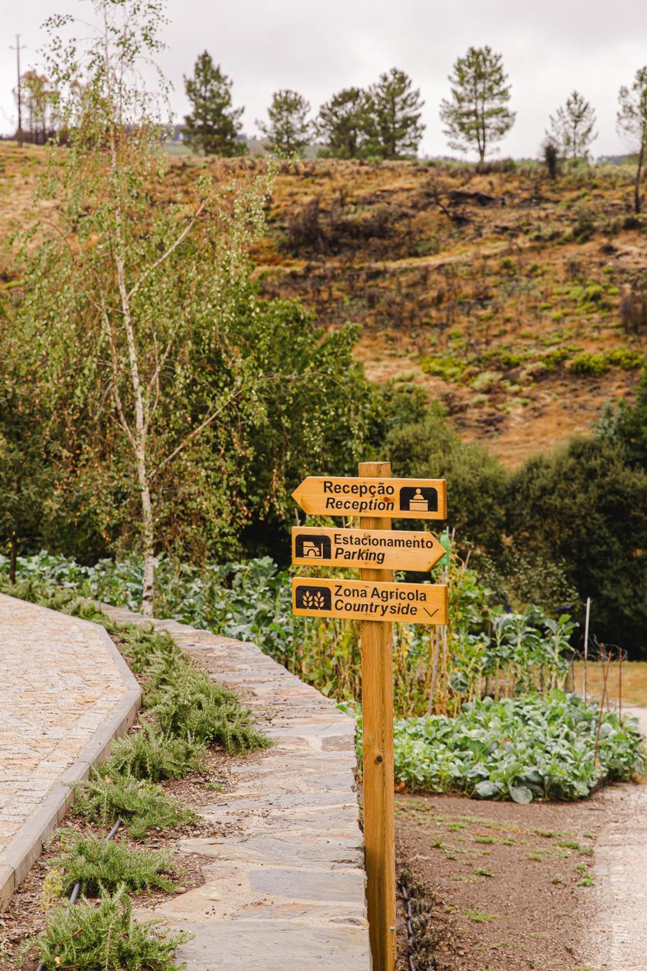 Terrasense Mountain Charm Retreat & Farm
