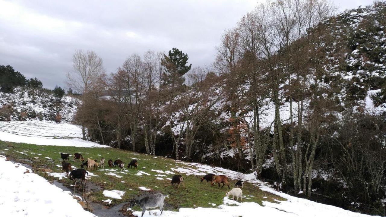 Apartamento Terrasense Mountain Charm Retreat & Farm